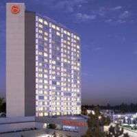 Sheraton Star Hotels- Sheraton Guildford Hotel